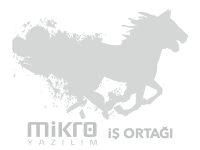 Mikro İş Ortağı